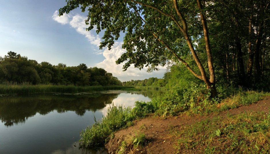 Водоемы Белгородского района края