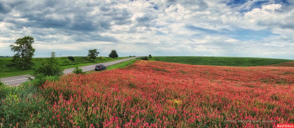 Сельхоз поля Белгородской области