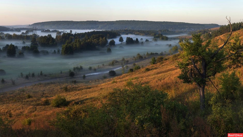 Александр Дергаусов Шебекино