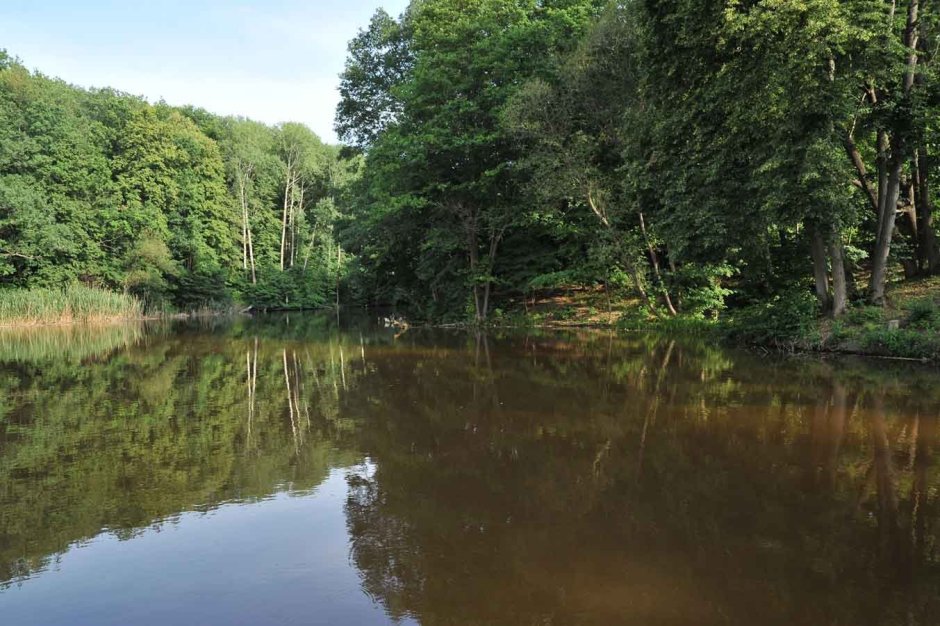 Белгород природа