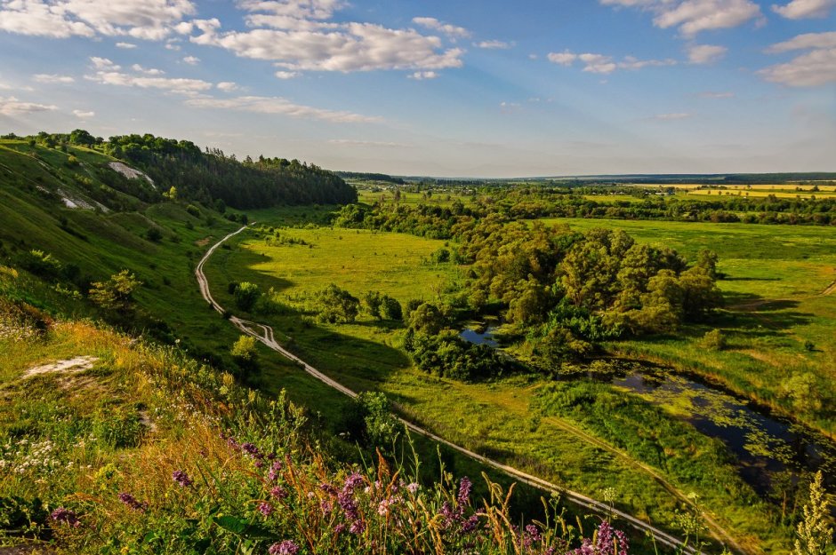 Крапивное Шебекинский район