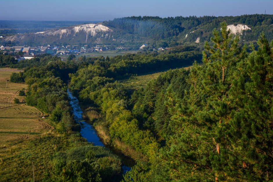 Бекарюковский Бор Белгородская область