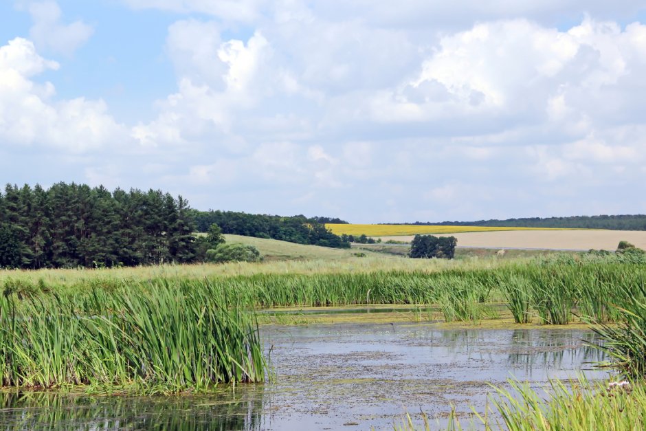 Просторы Белгородской области