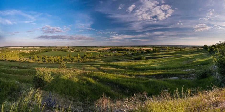 Бекарюковский Бор Шебекинский район