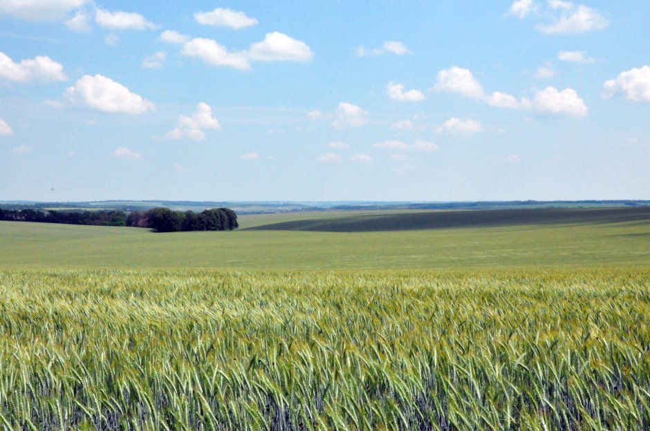 Равнины Белгородской области