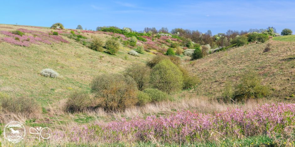 Заповедник Белогорье Ямская степь