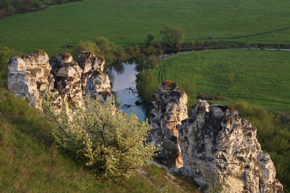Плато «Дивногорье», Лискинский район, Воронежская область