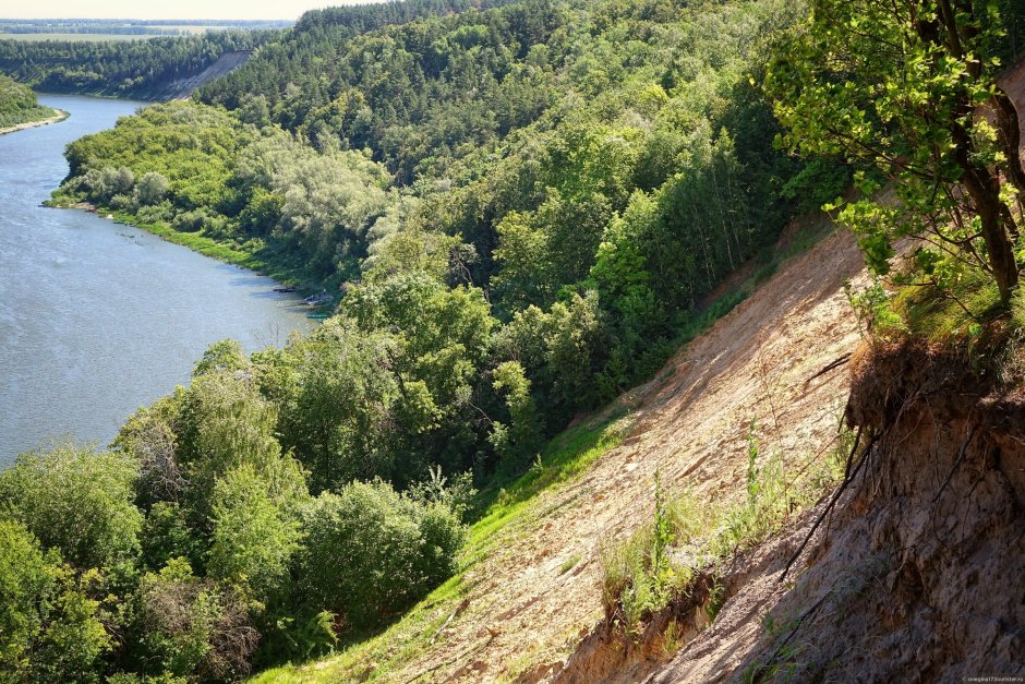 Живописные места Воронежской