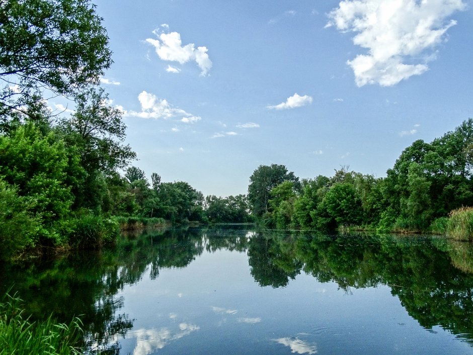 Река Оскол Белгородской области