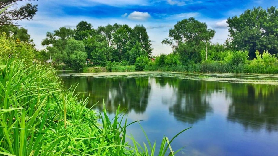 Река Оскол Белгородской области