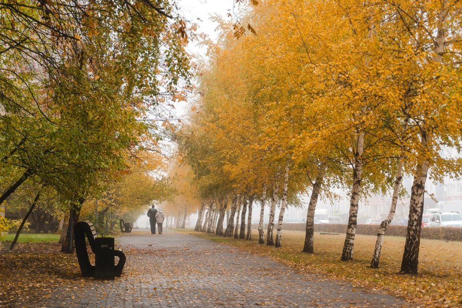 Старый Оскол осень