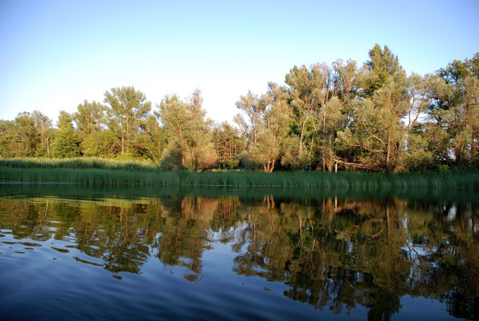 Река Оскол новый Оскол