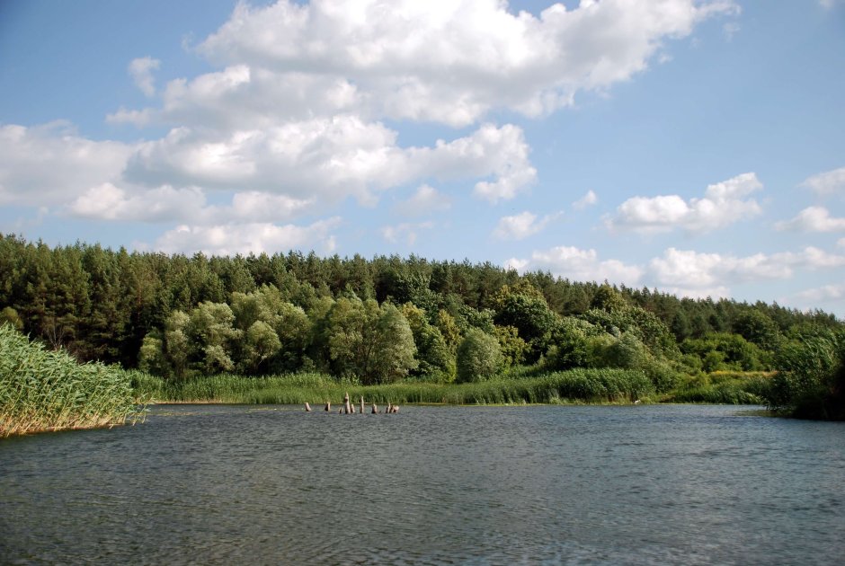 Река Оскол в Купянске