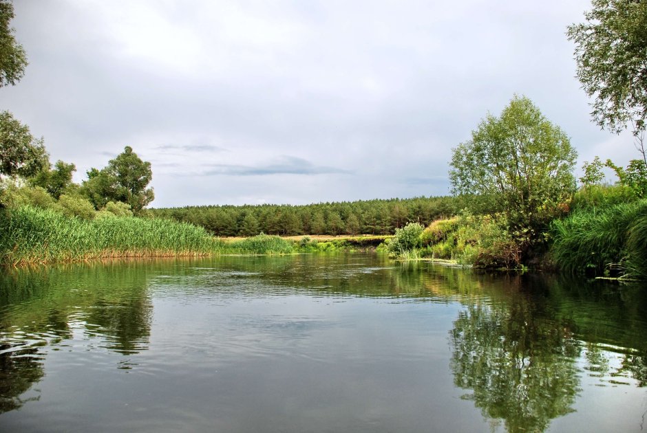 Река Оскол Белгородской области
