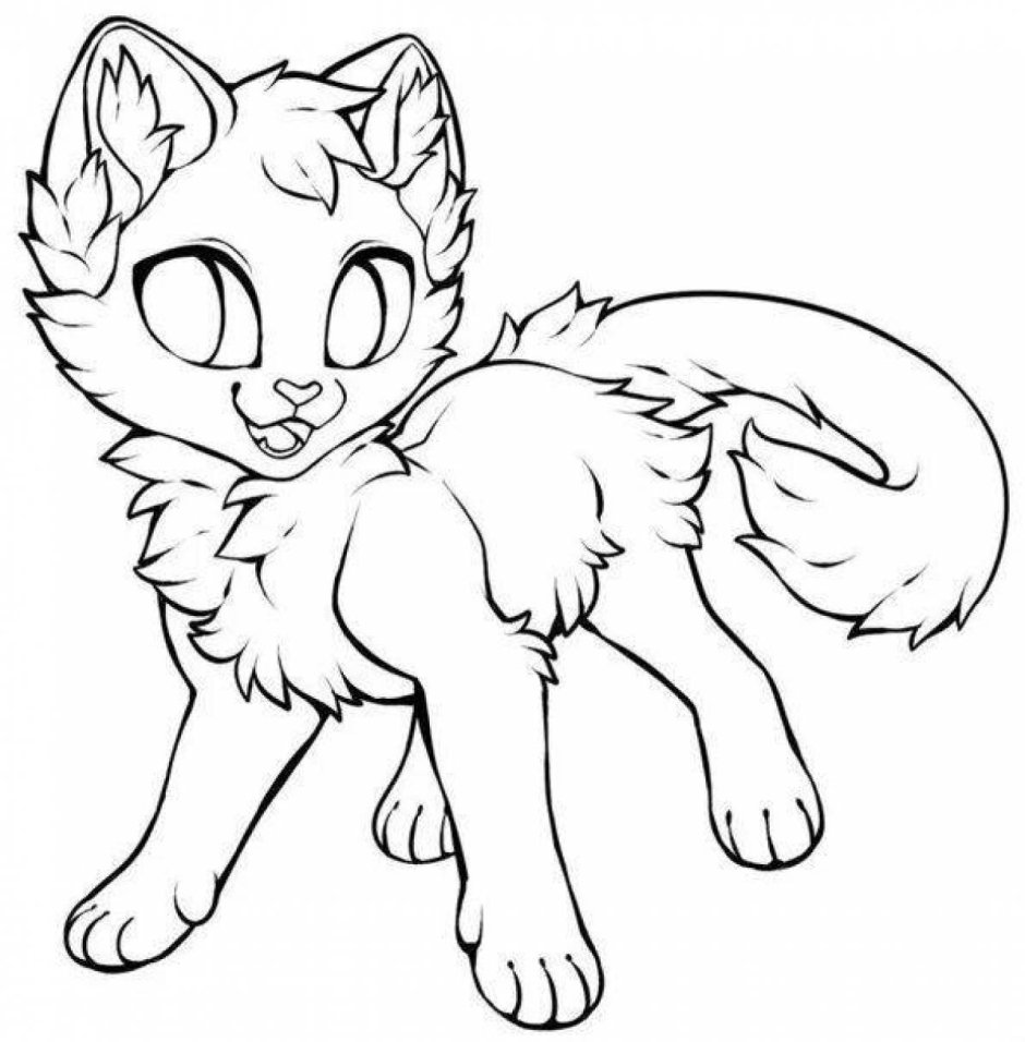 Коты Воители лайны фрилайны