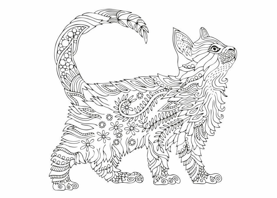 Кошка с крыльями раскраска антистресс