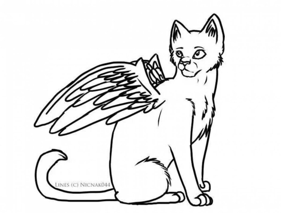 Кошка с крыльями раскраска