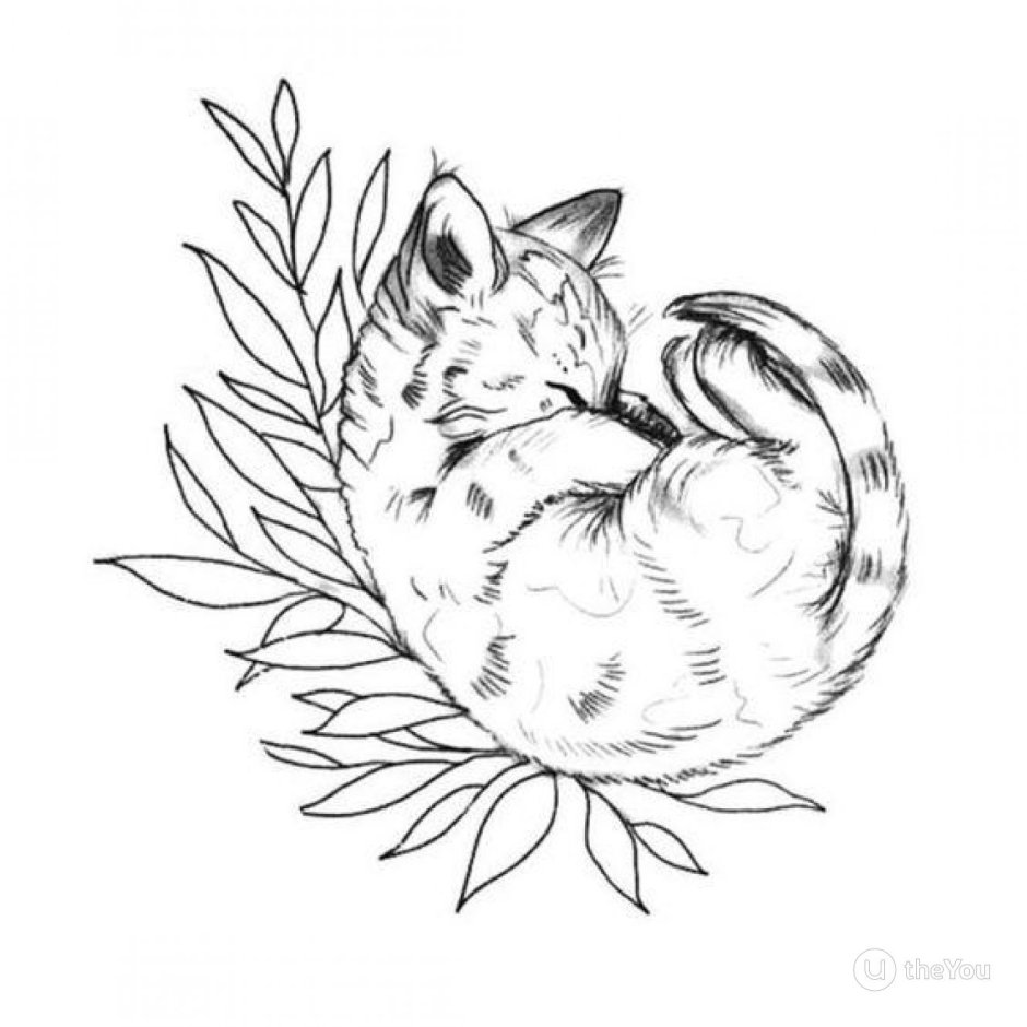 Кот тату эскиз