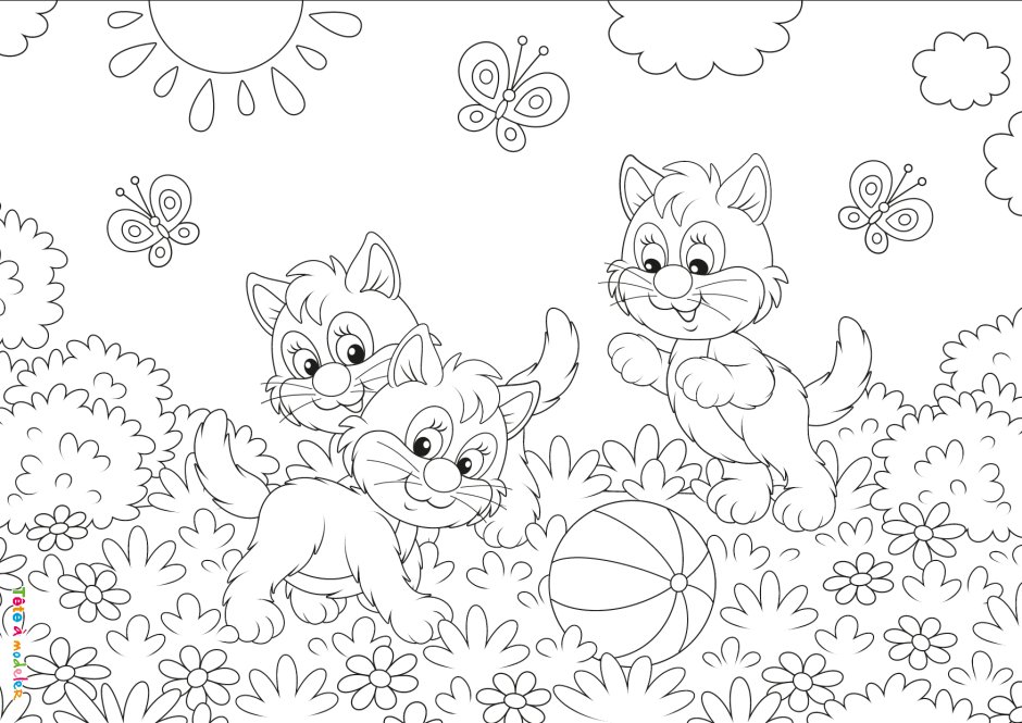 Раскраска котик на лужайке