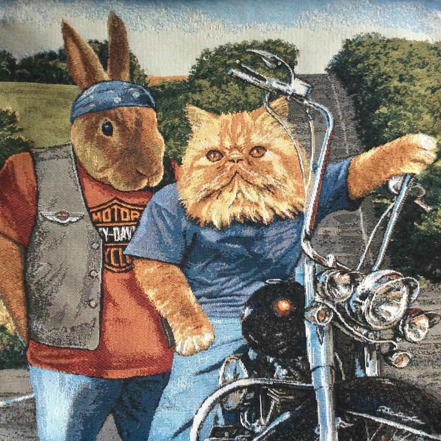 Котик байкер