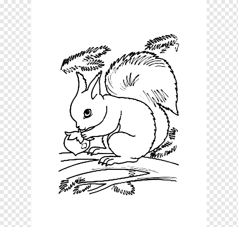 Раскраска из сказки петушок золотой гребешок