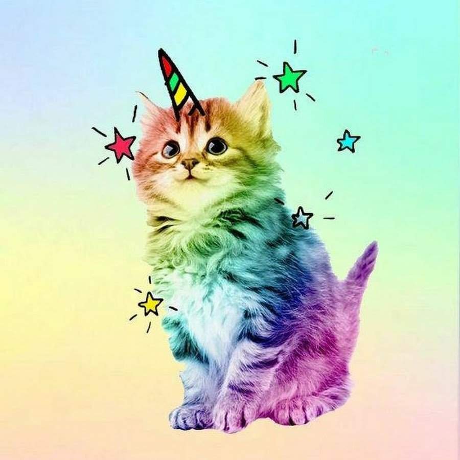 Кот Единорог