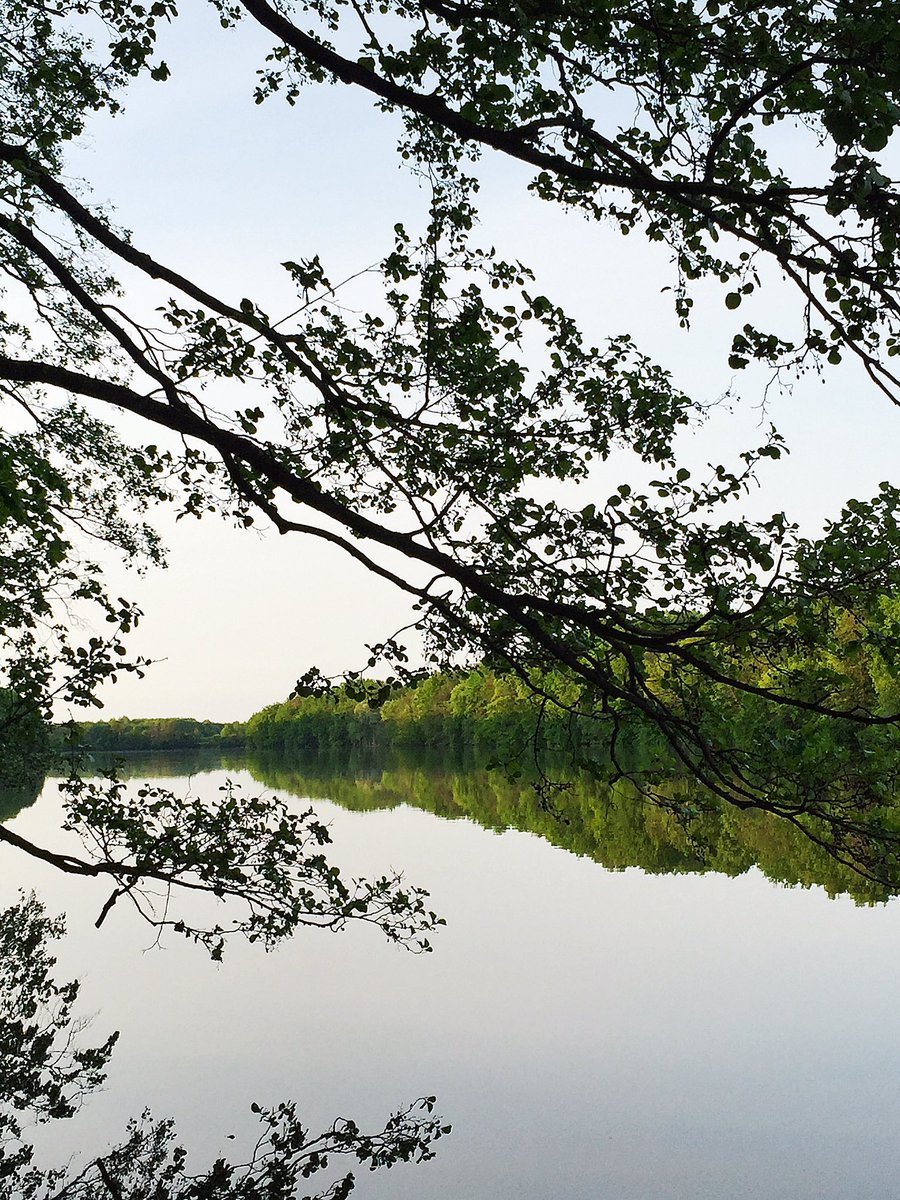 Пиявское озеро Мордовия