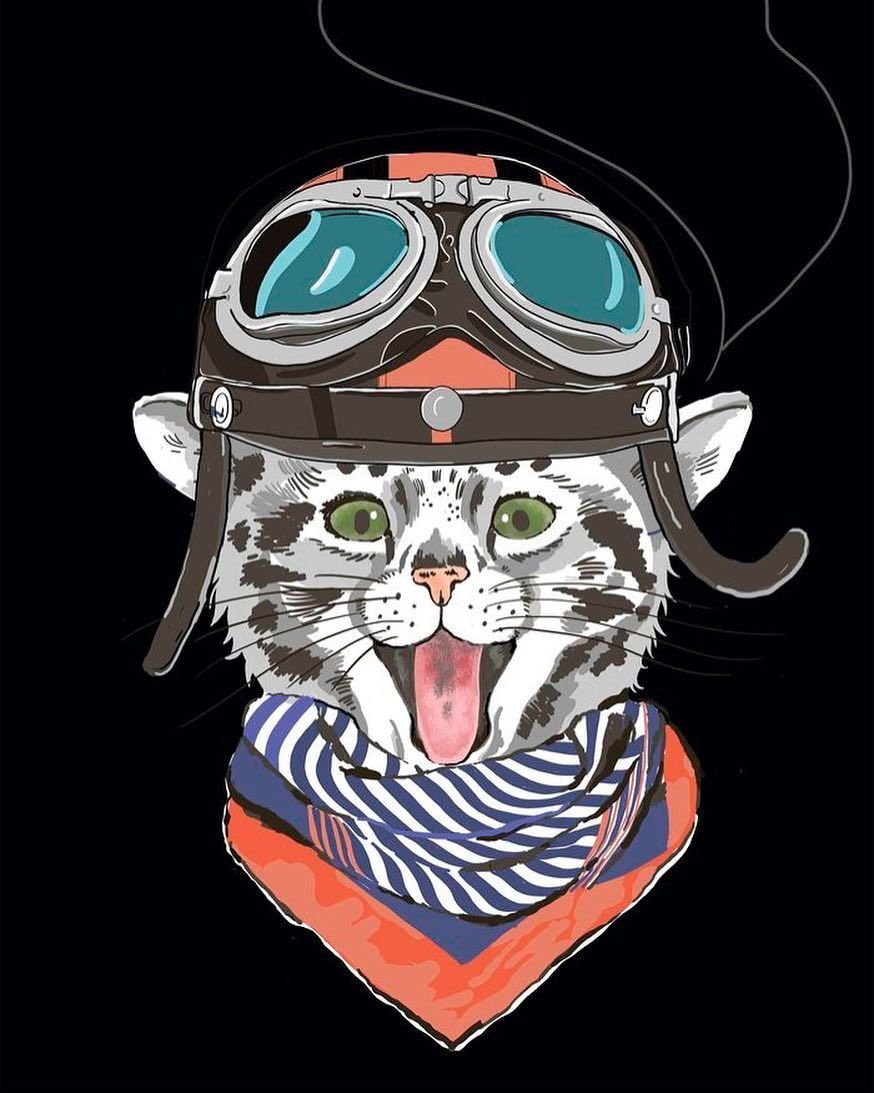 Кот в шлеме летчика