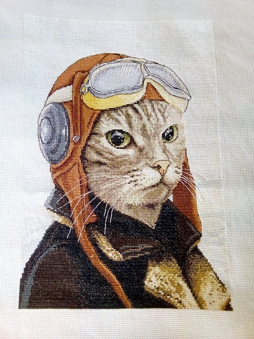 Рисунок Разина кот пилот