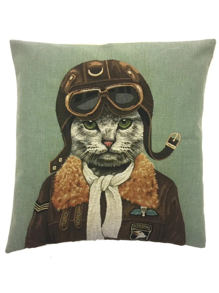 Котик летчик