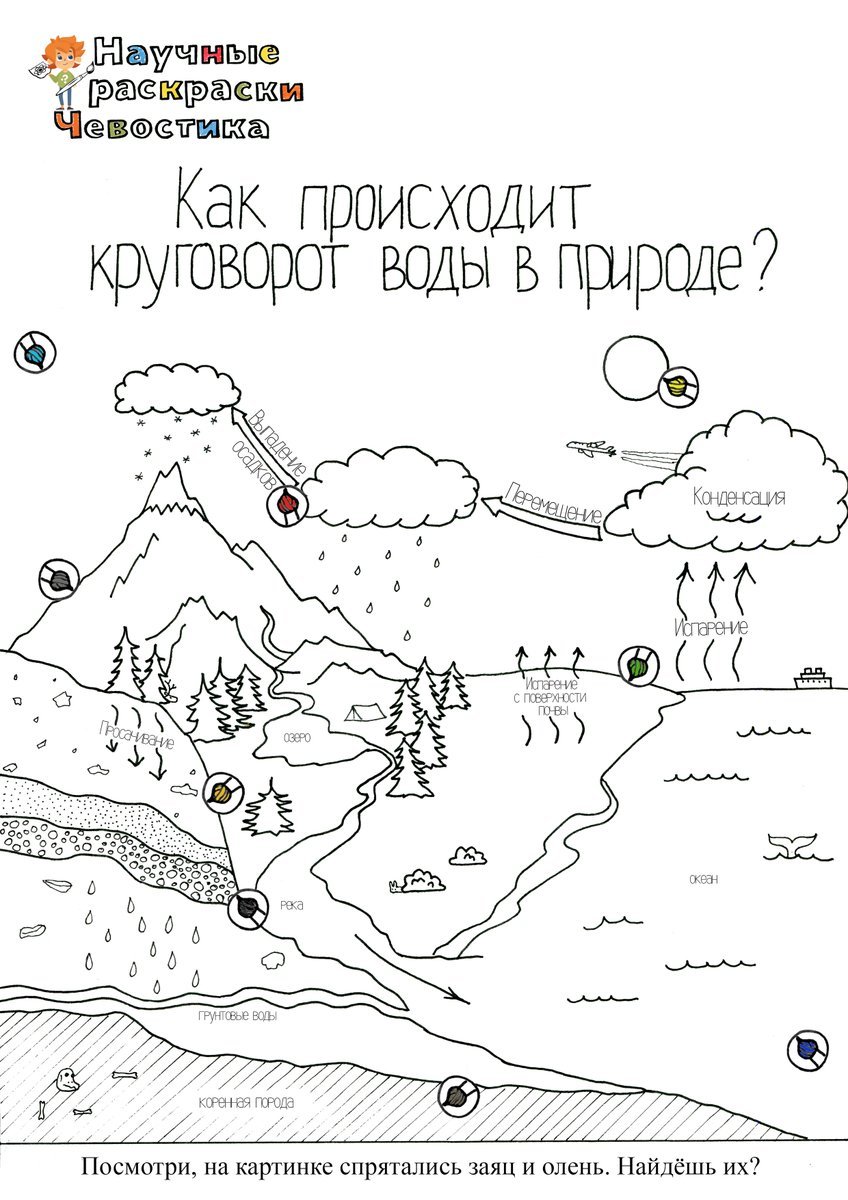 Раскраски с Чевостиком