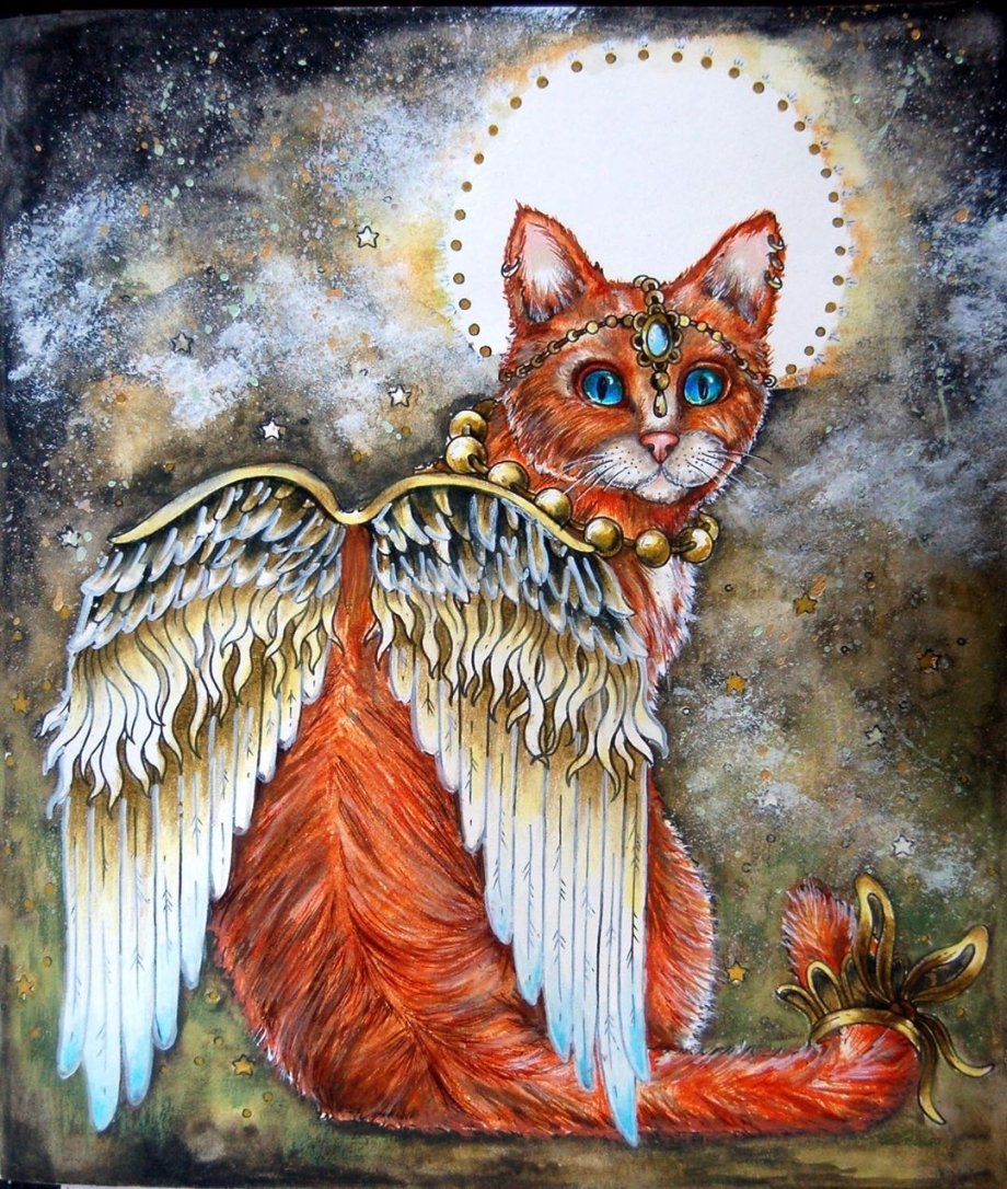 Сказочный кот с крыльями