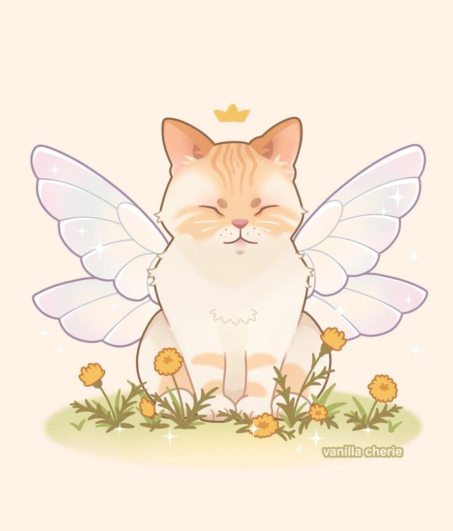 Кошка ангел картинки