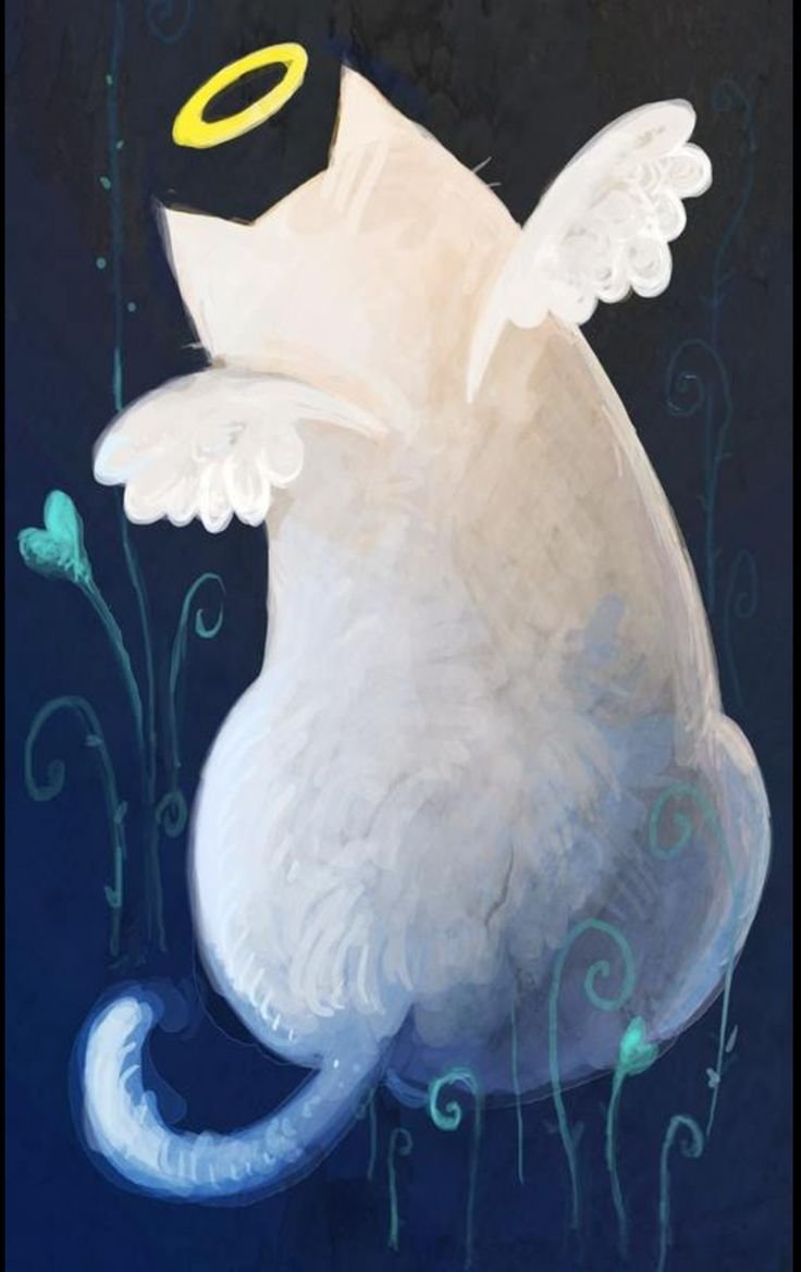 Кошечка ангел