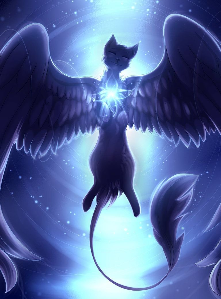Кот с крыльями