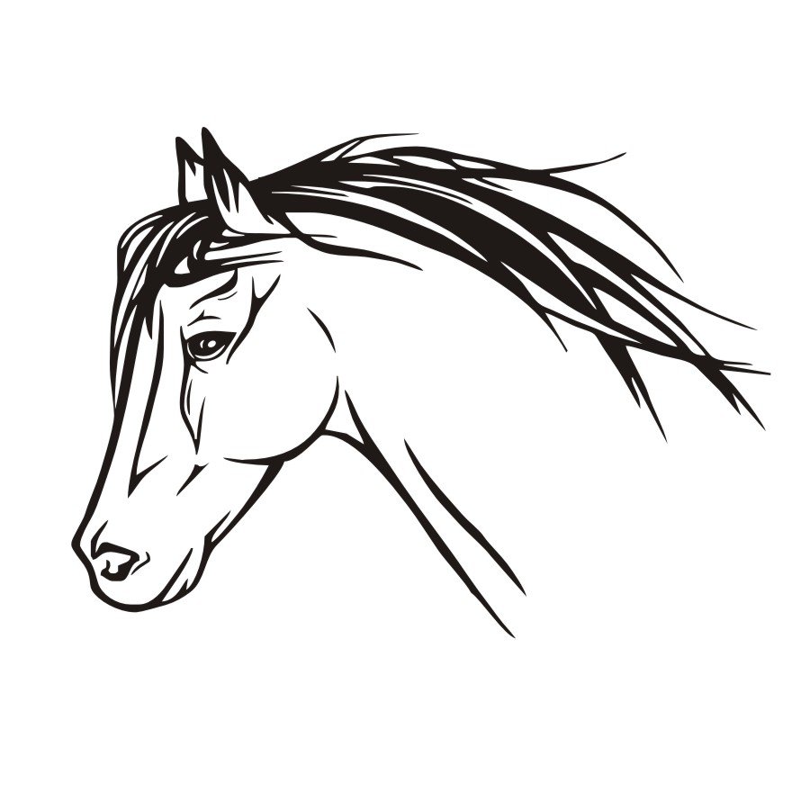 Голова лошади вектор