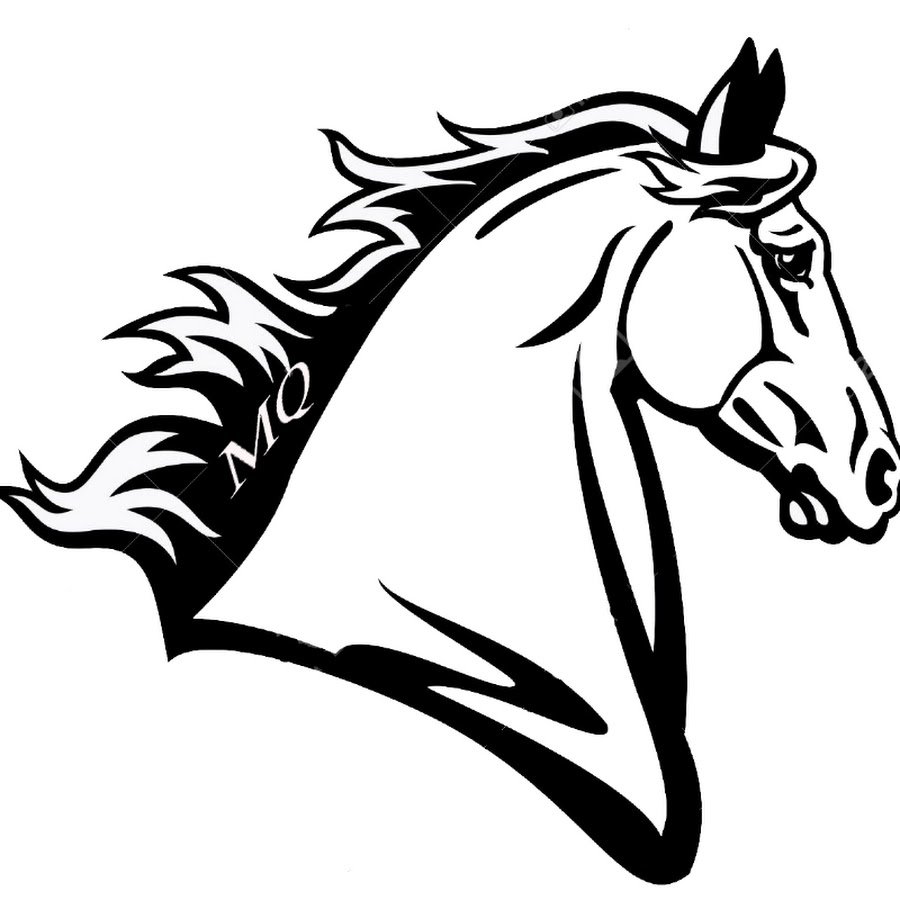 Голова лошади черно белая