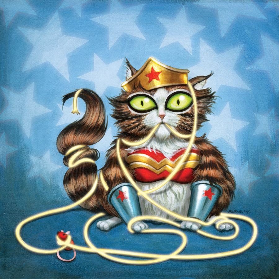 Котик Супергерой