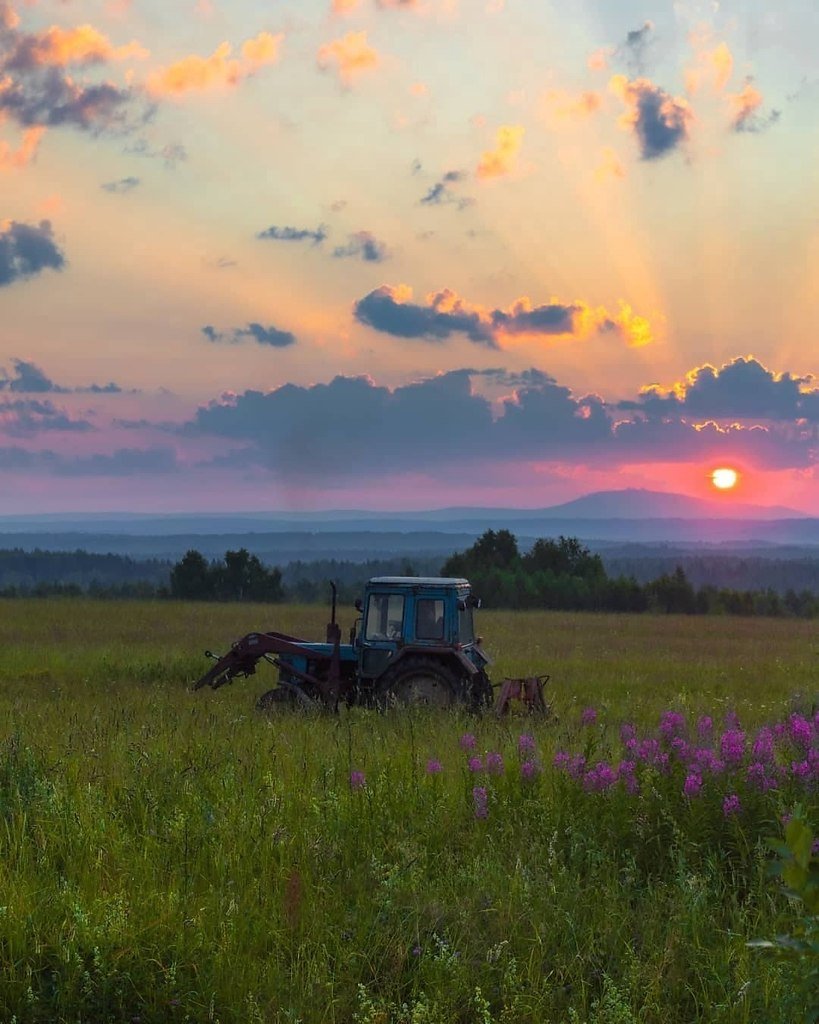 Рассвет в деревне летом