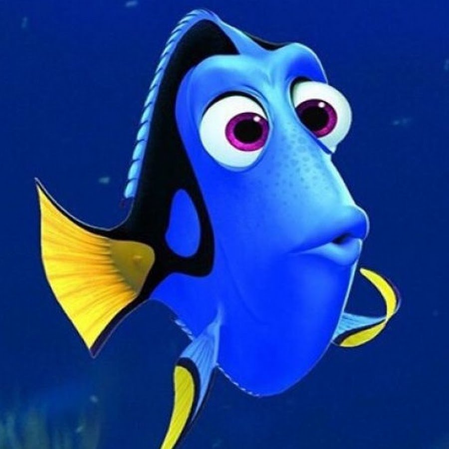 Рыба дори из Немо