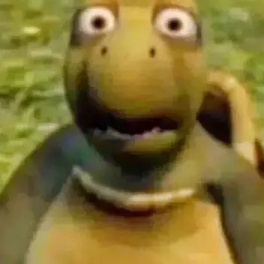 Черепашка лесная братва