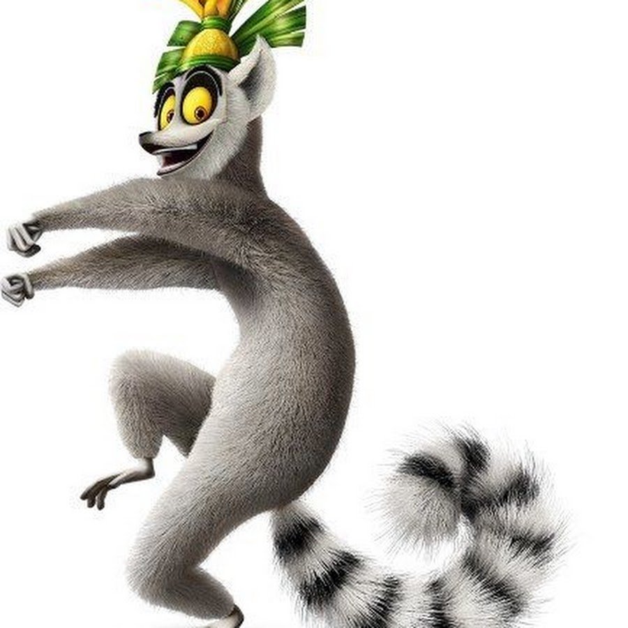 Герои мадагаскар