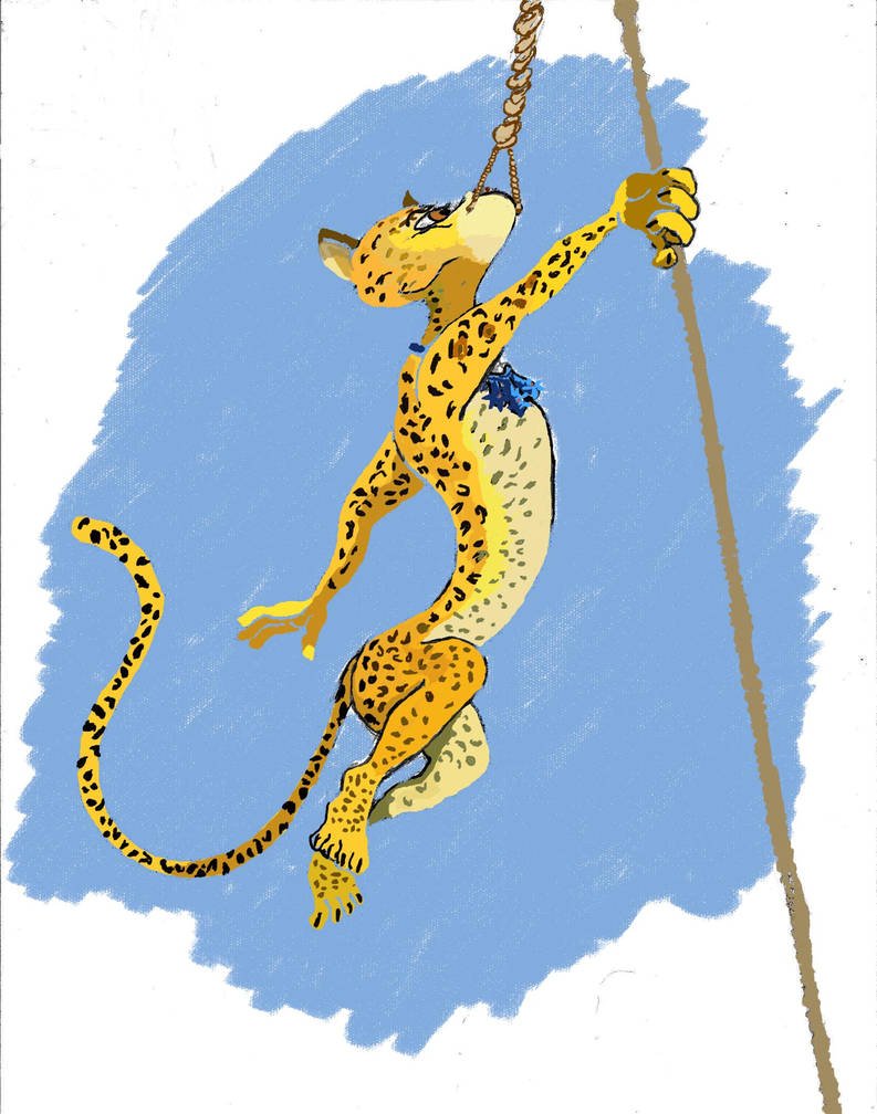 Мадагаскар Ягуар Джиа