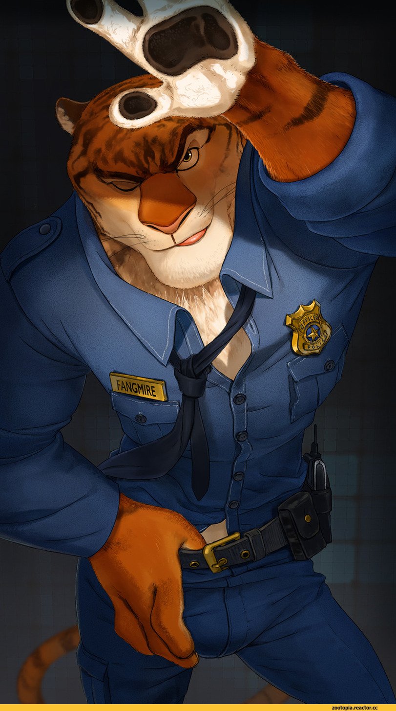 Джуди ник Когтяузер