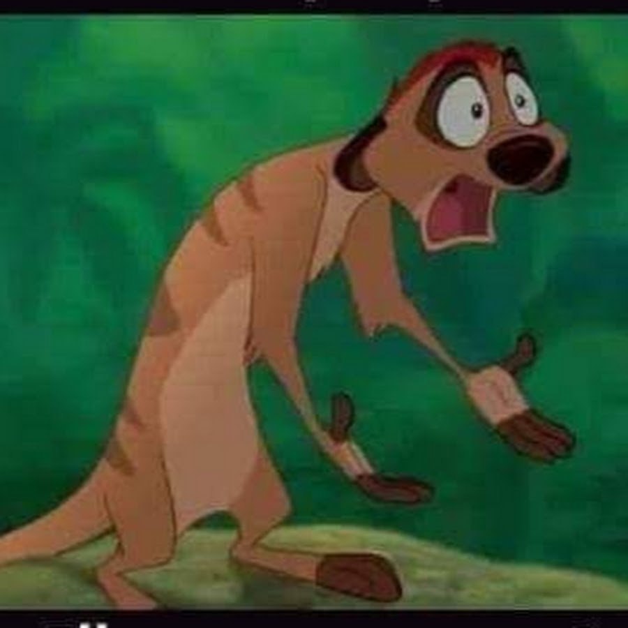 Тимон и пумба в очках