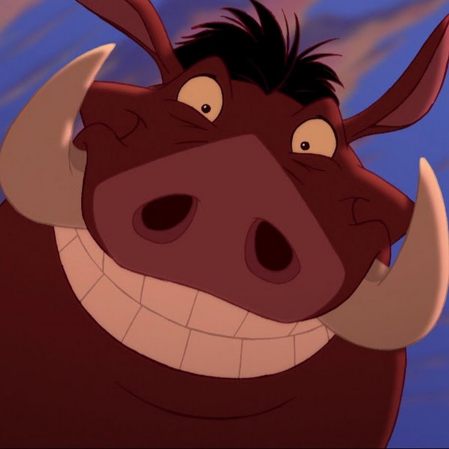 Тимон и Пумба на аву