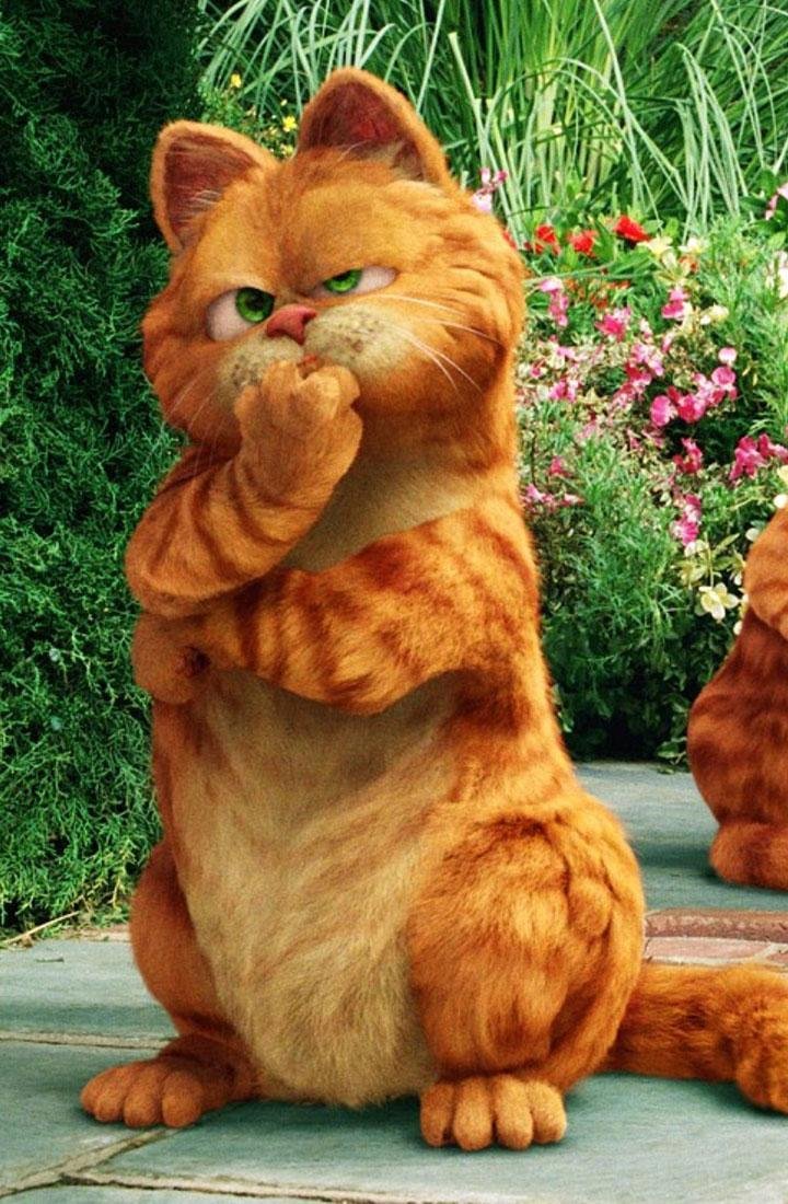 Рыжий кот Гарфилд