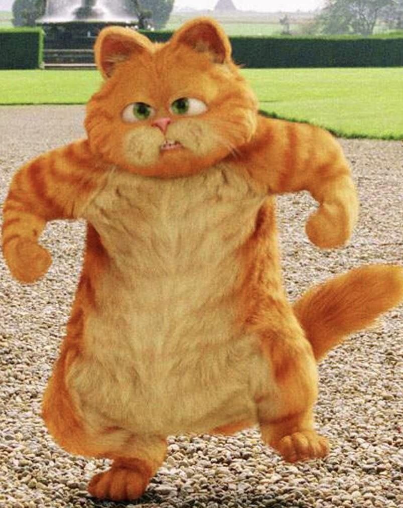 Гарфилд в реальной жизни
