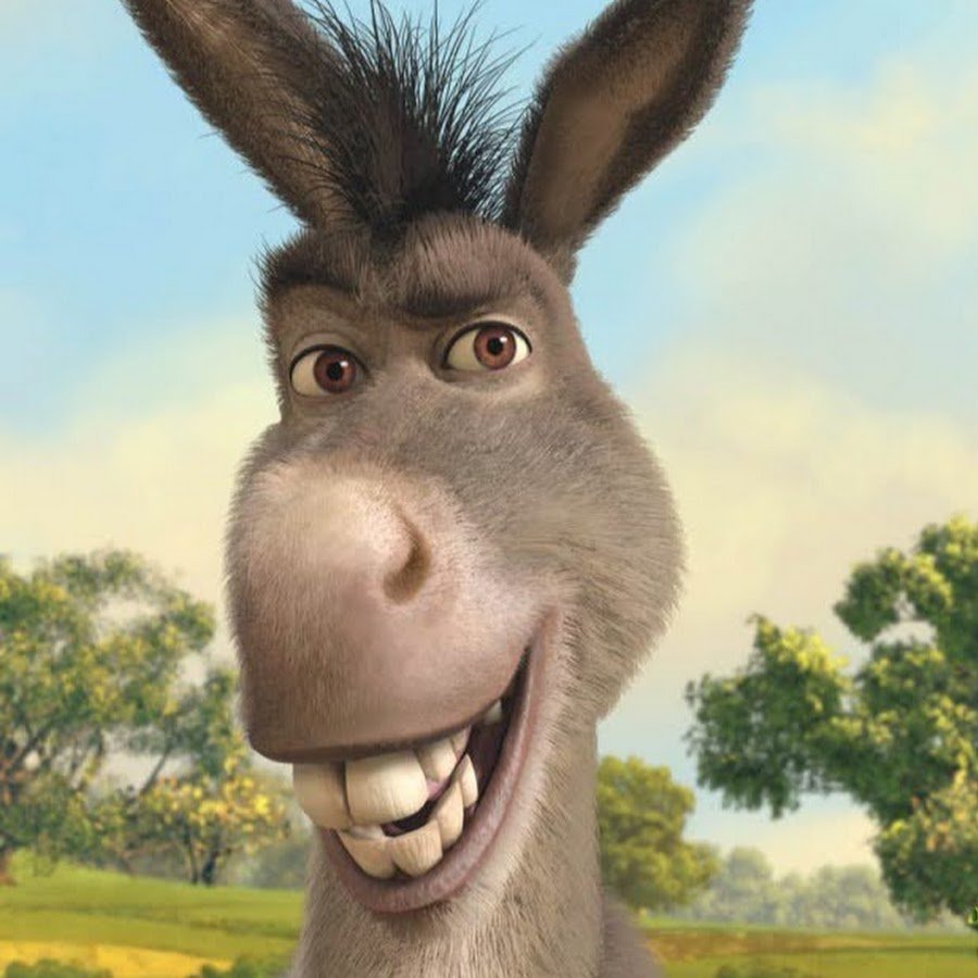 Осел в очках