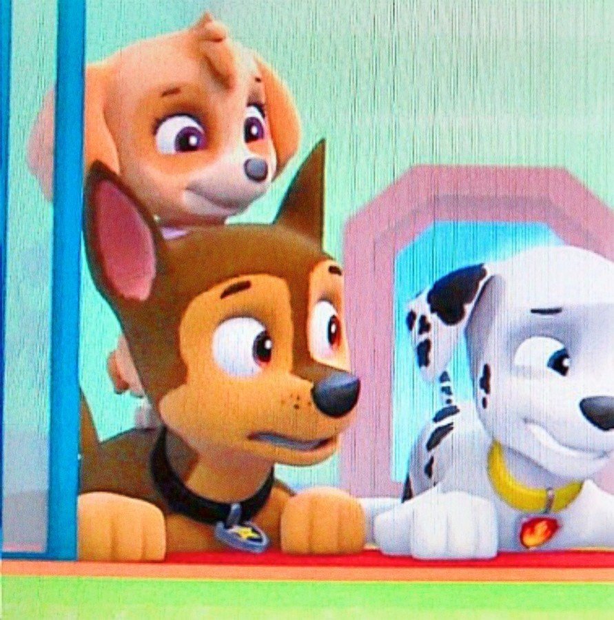 Щенячий патруль гонщик и Скай